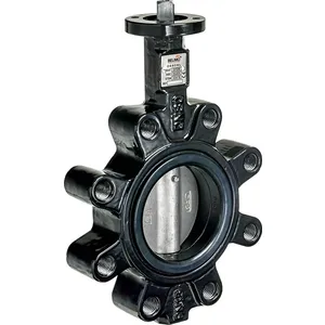 Corps de vanne - Belimo D665NL - Corps de vanne -DN 65 -2 voies -50 [m³/h]