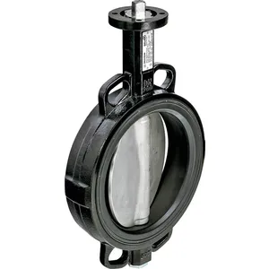 Corps de vanne - Belimo D6250W - Corps de vanne -DN 250 -2 voies -1.300 [m³/h]