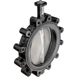 Corps de vanne - Belimo D6250WL - Corps de vanne -DN 250 -2 voies -1.300 [m³/h]