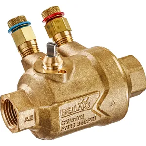 Corps de vanne - Belimo C220QPT-F - Corps de vanne -DN 20 -2 voies