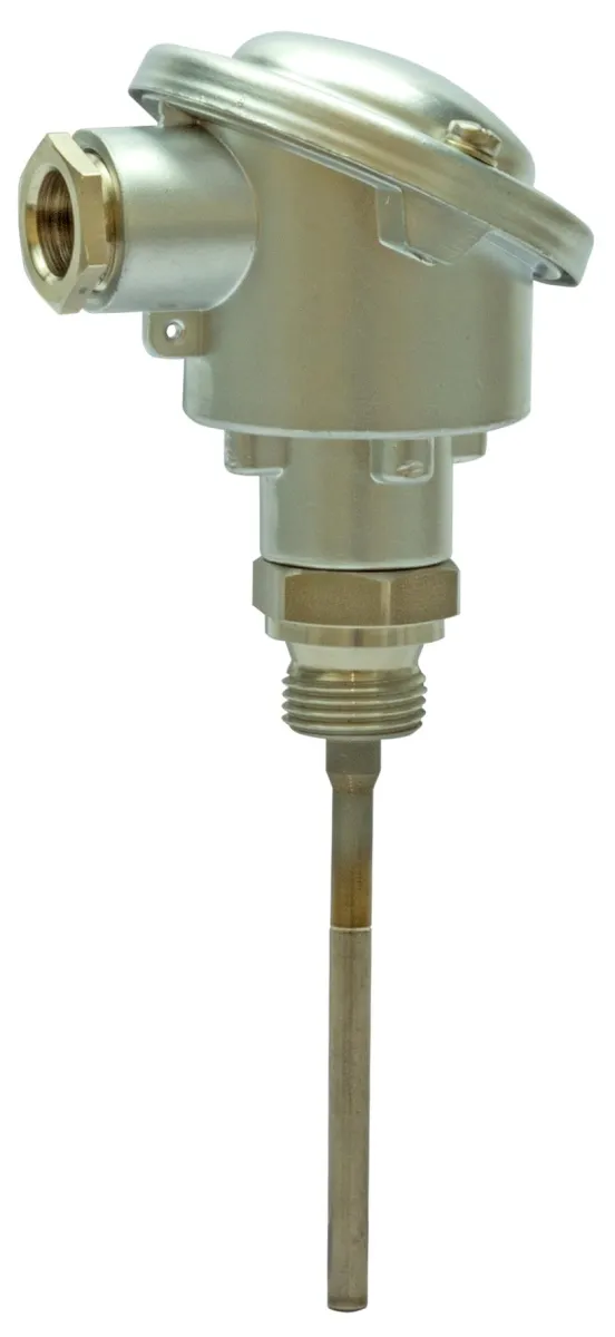 Siemens FT-TP/100 - Sonde température plongeur Pt100 100mm