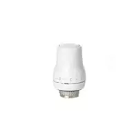 Tête thermostatique - Siemens   RTN51G - Mouvement linéaire, Tête thermostatiques, Elément thermostatique, , 